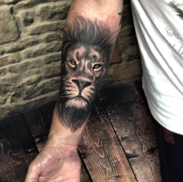 Tattoo Leão Realista